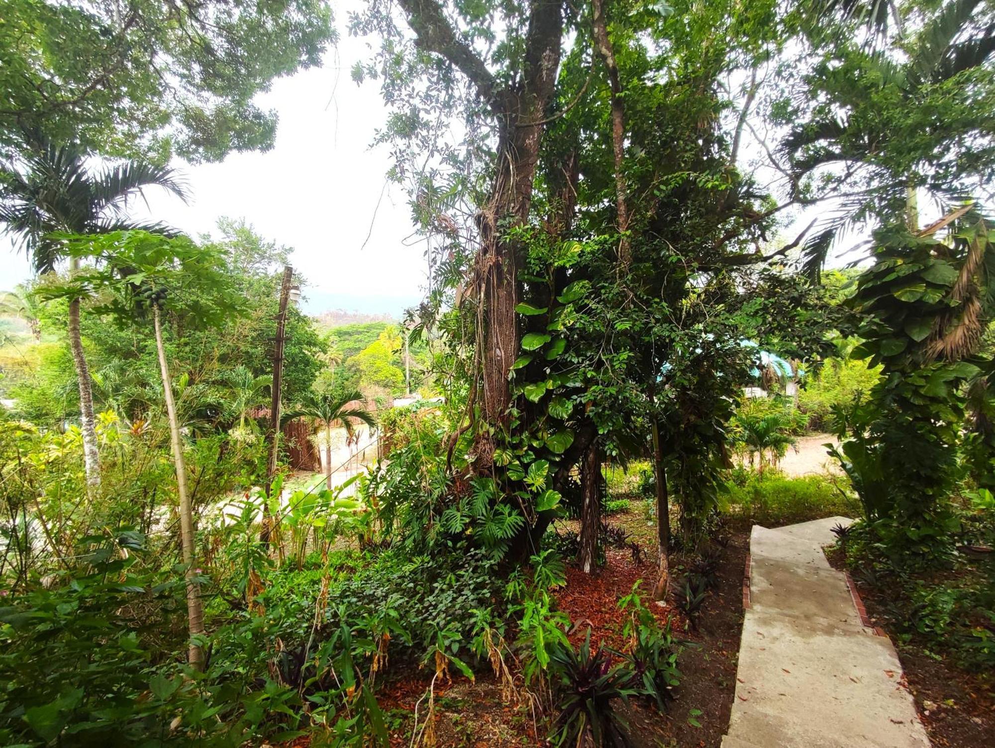 Maya Mountain Lodge San Ignacio Exterior foto