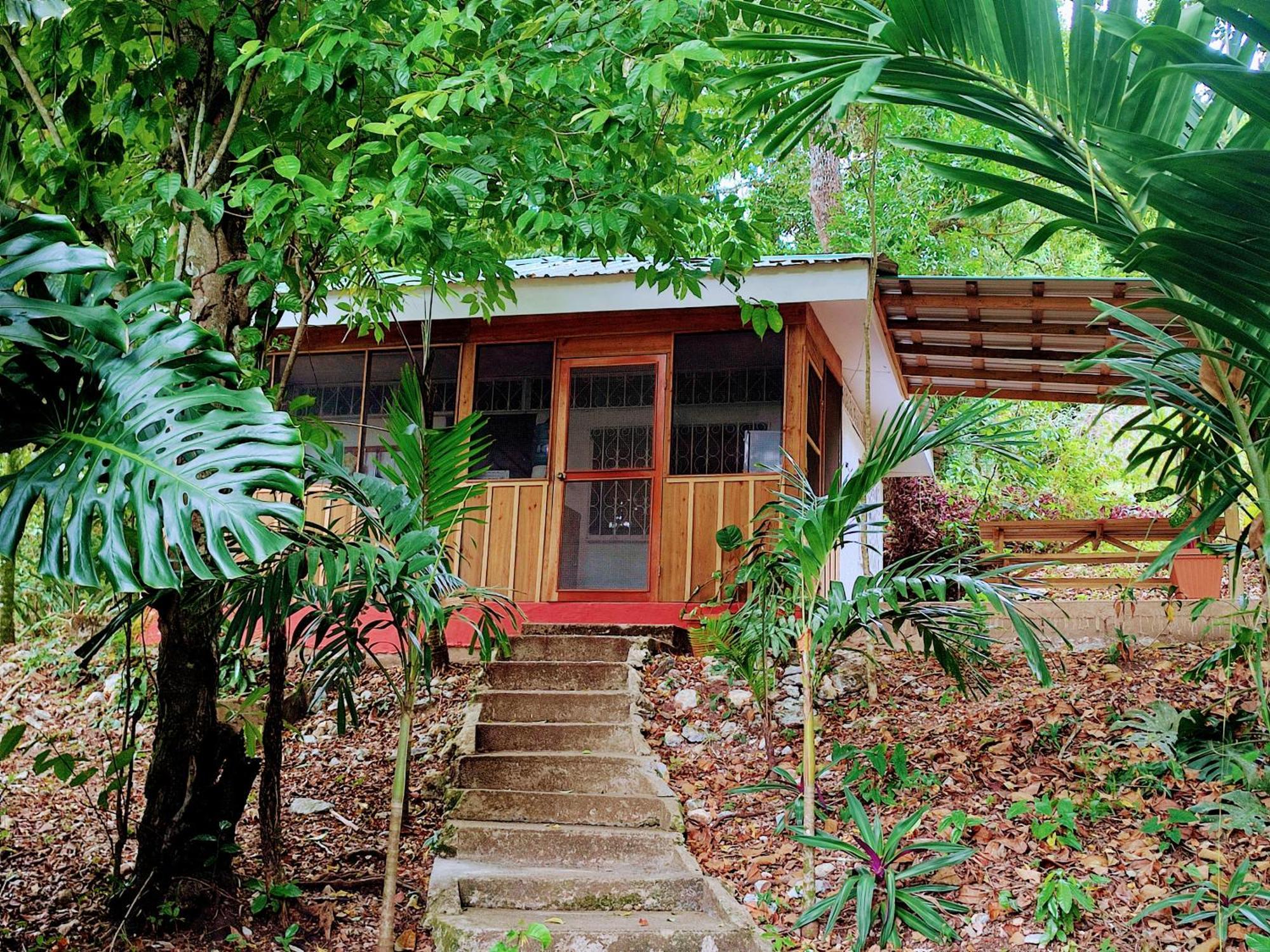 Maya Mountain Lodge San Ignacio Exterior foto