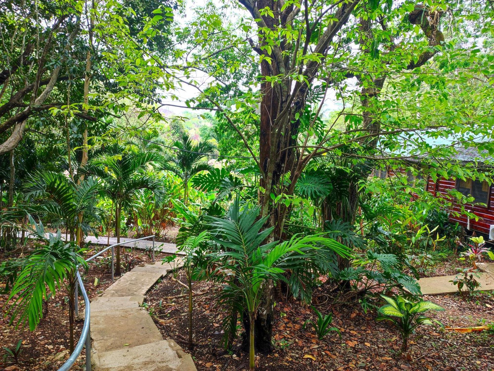 Maya Mountain Lodge San Ignacio Exterior foto