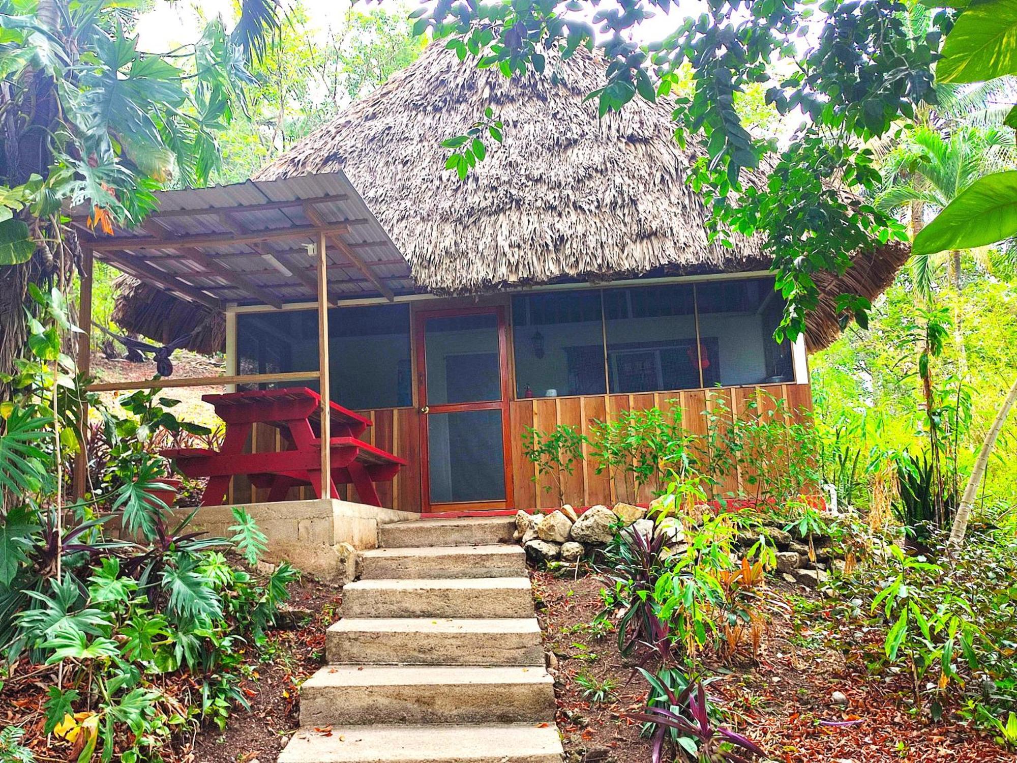 Maya Mountain Lodge San Ignacio Exterior foto