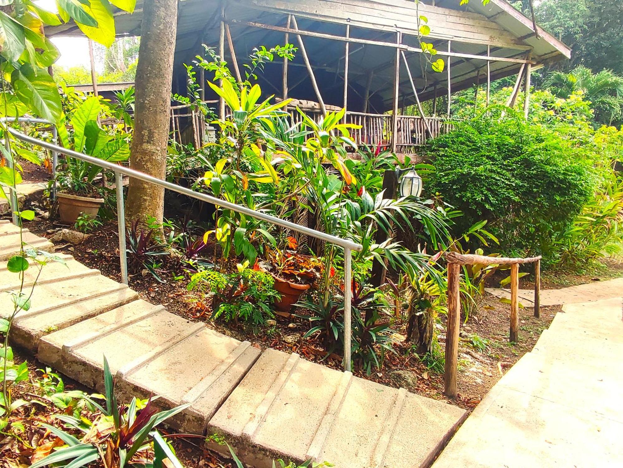 Maya Mountain Lodge San Ignacio Exterior foto