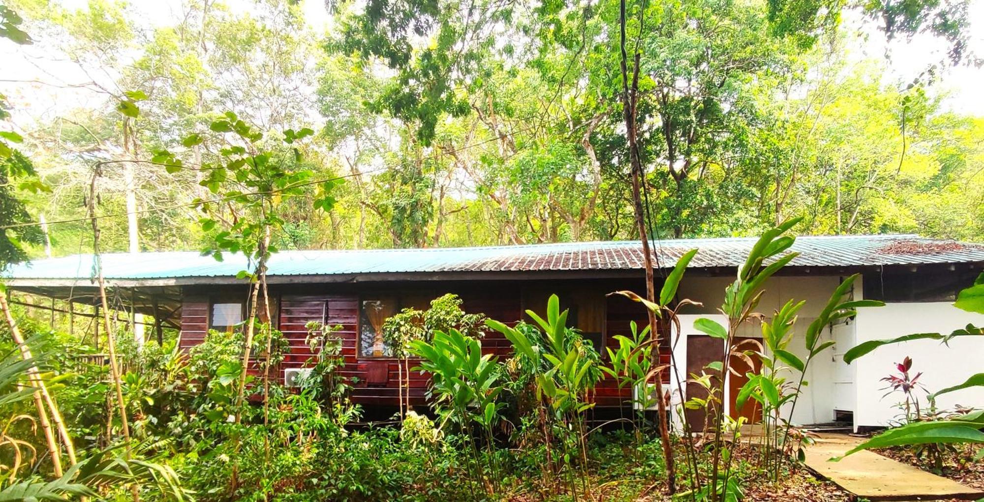 Maya Mountain Lodge San Ignacio Exterior foto