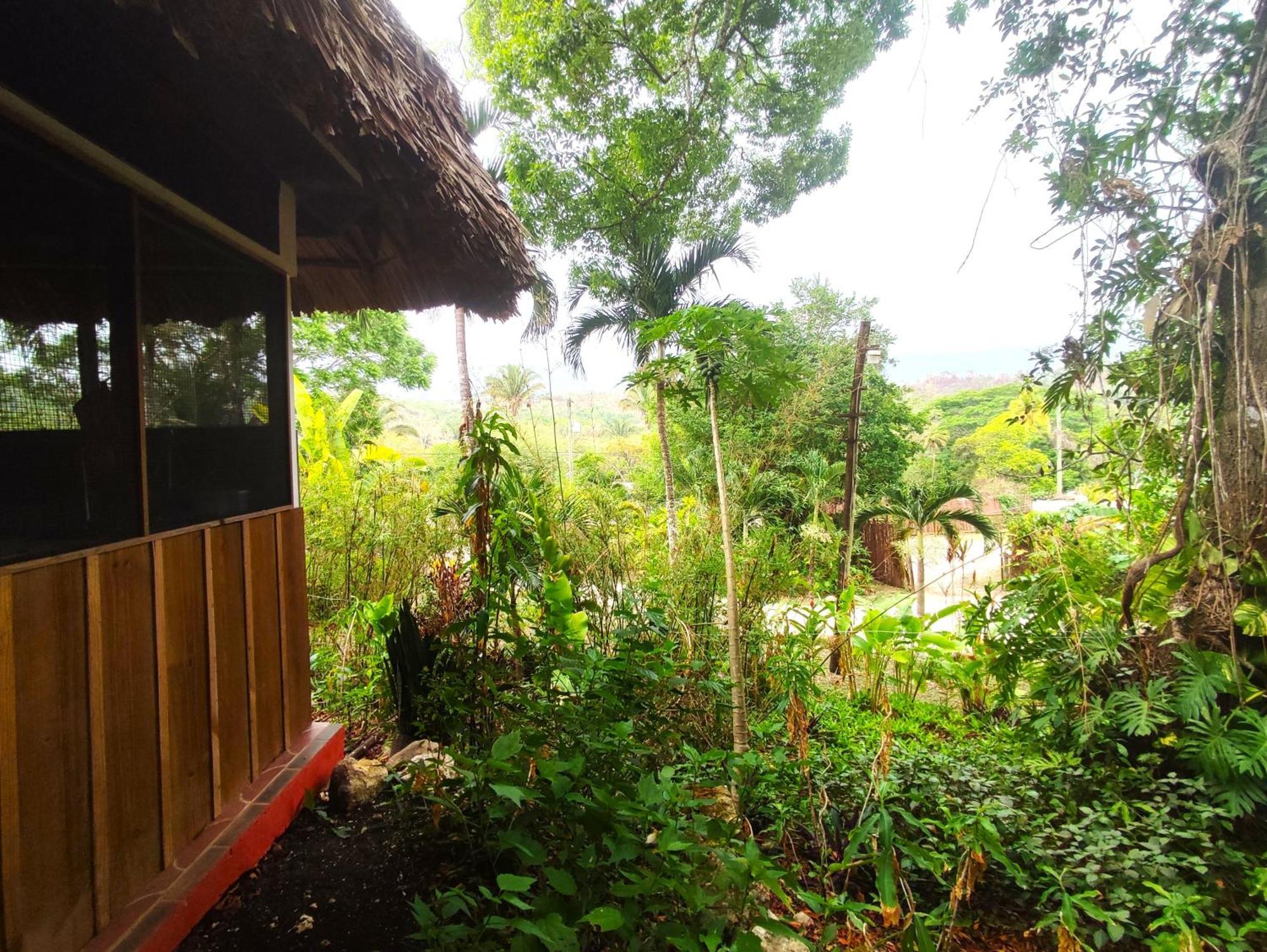 Maya Mountain Lodge San Ignacio Exterior foto