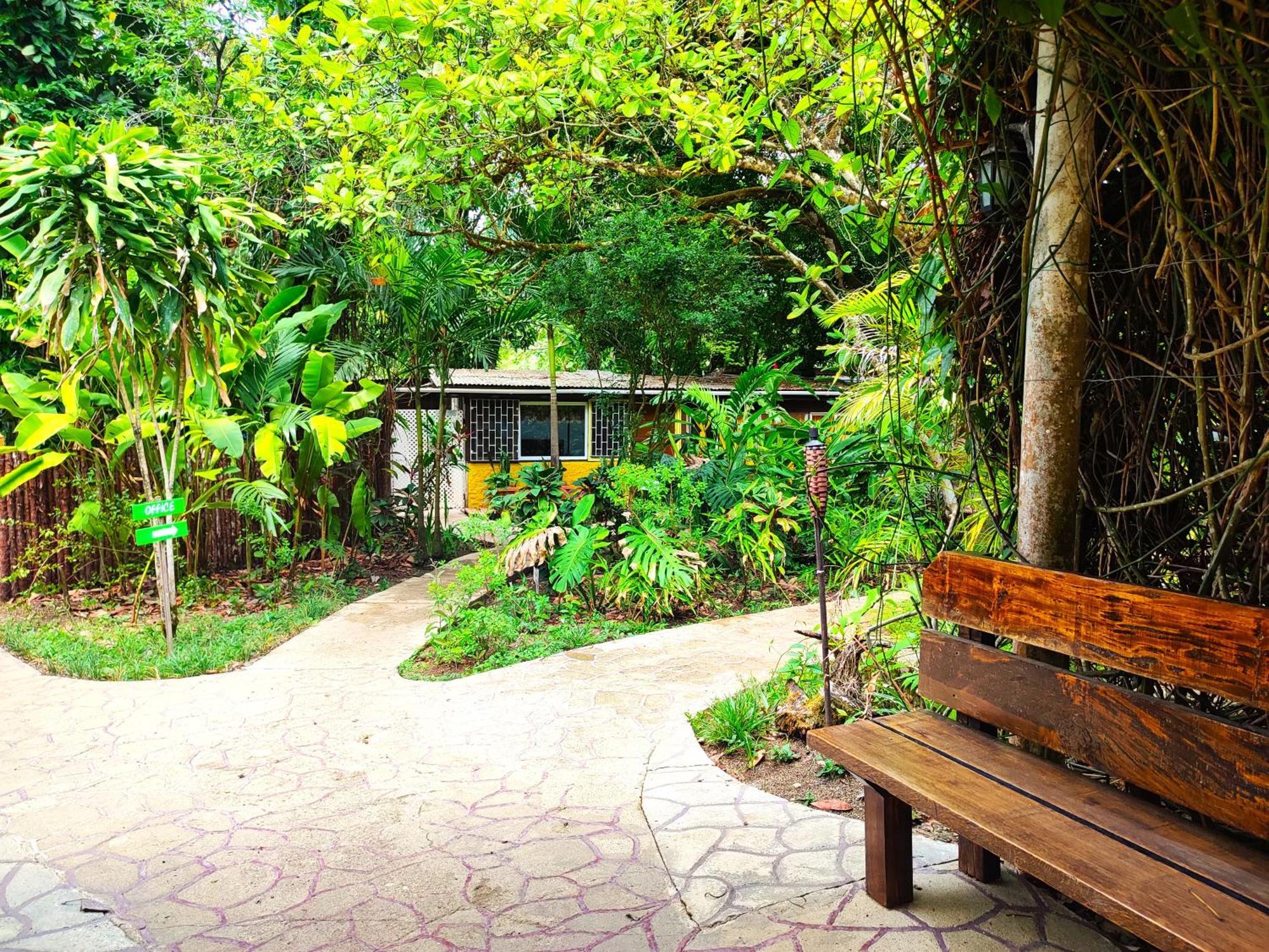 Maya Mountain Lodge San Ignacio Exterior foto