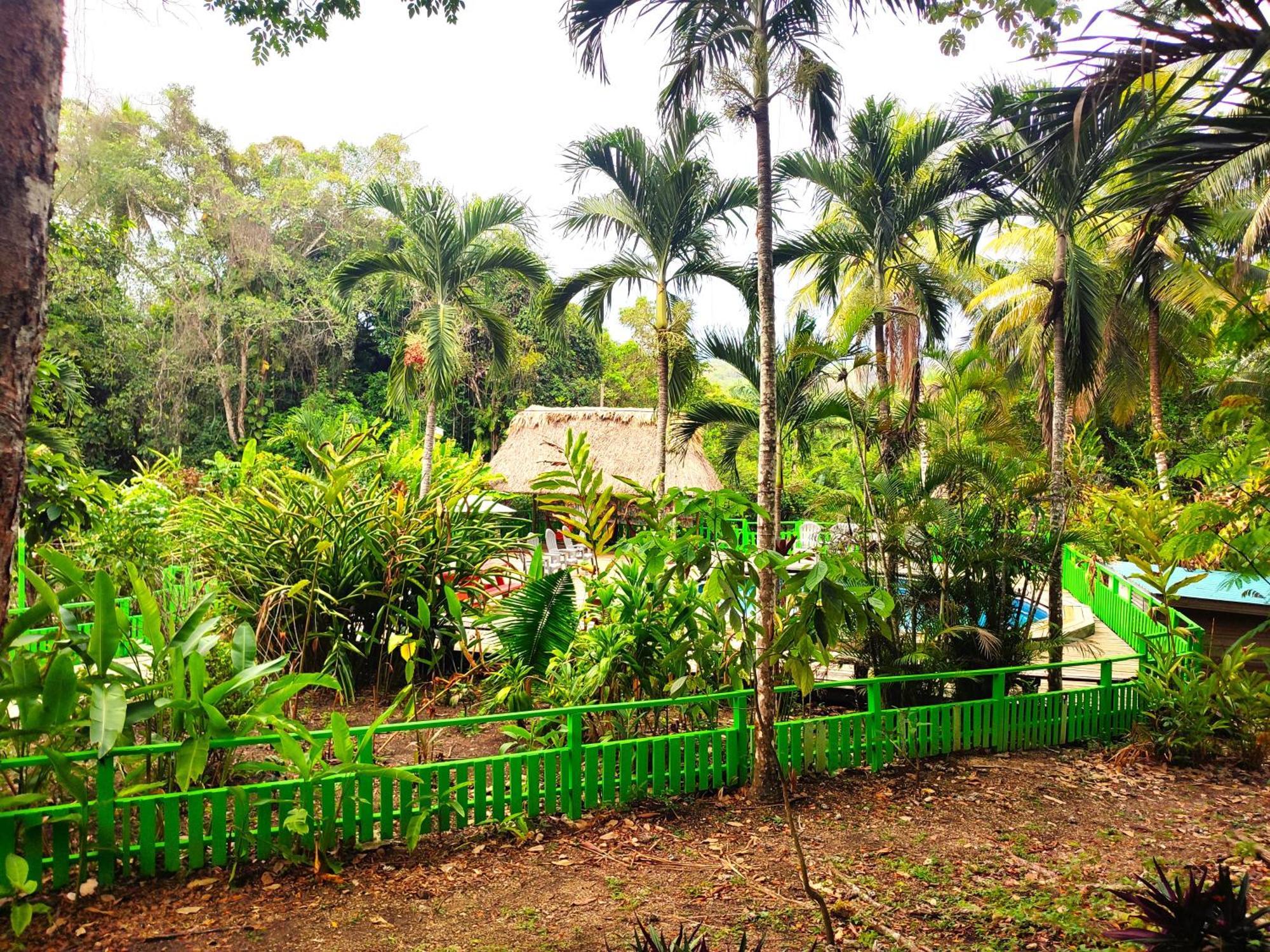 Maya Mountain Lodge San Ignacio Exterior foto