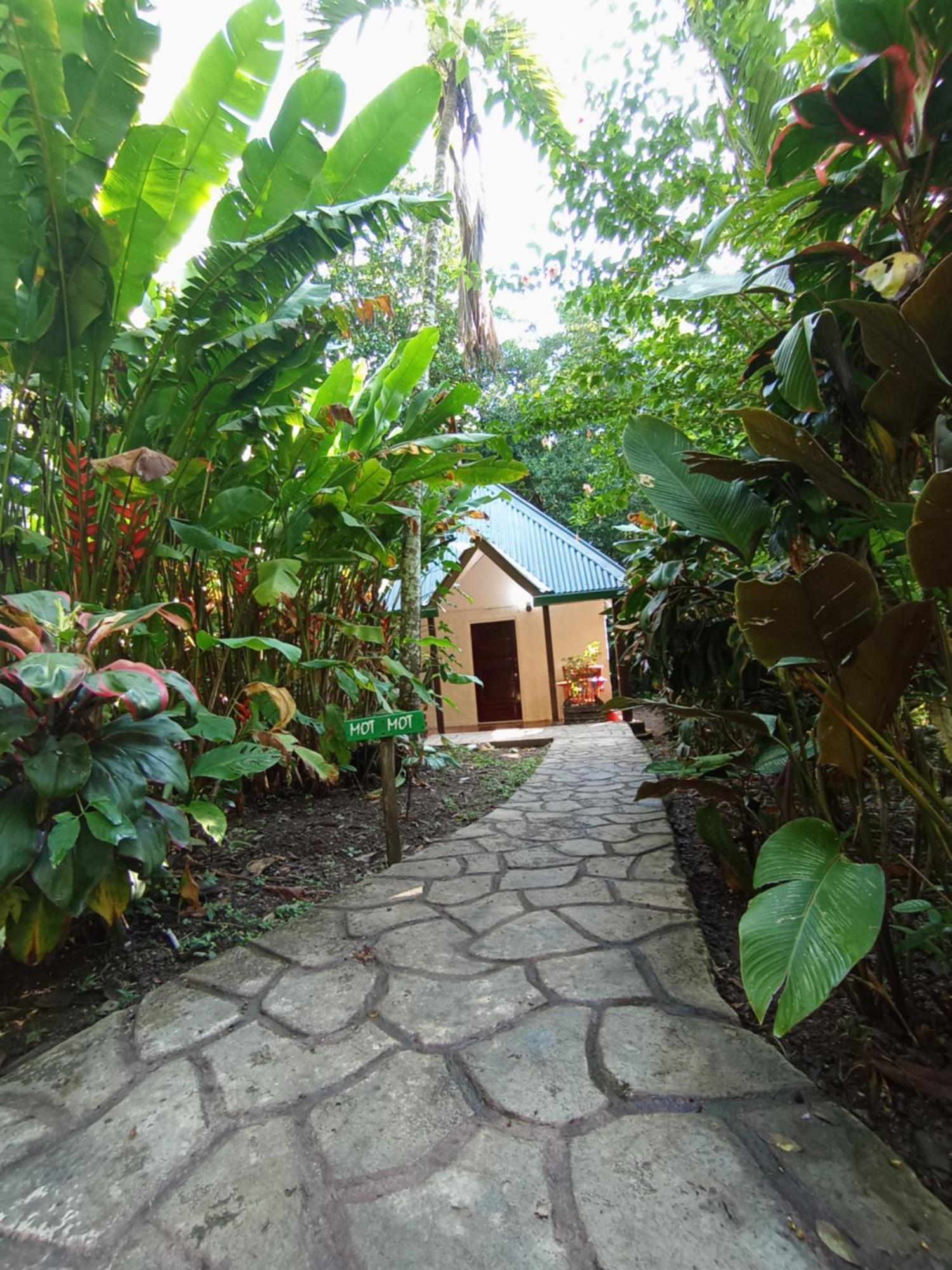 Maya Mountain Lodge San Ignacio Exterior foto